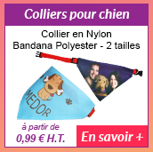 Colliers pour chien - Collier en Nylon - Bandana Polyester - 2 tailles - à partir de 0.99 € H.T. - En savoir +