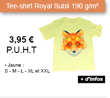 Tee-shirt Royal Subli 190 g/m² jaune - 3.95 € P.U.H.T