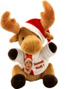 Peluche renne personnalisable