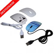 Souris noire et souris blanche d'ordinateur